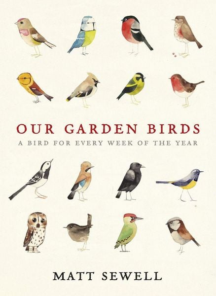 Produktbild: Our Garden Birds