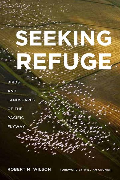 Produktbild: Wilson, R: Seeking Refuge
