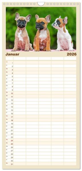 Produktbild: Familienplaner 2026 - Kleine Helden - Franz&ouml;sische Bulldoggen mit 5 Spalten (Wandkalender, 21 x 45 cm) CALVENDO