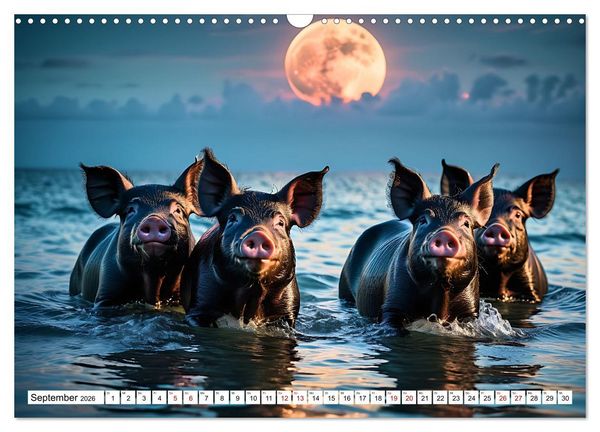 Produktbild: Schwimmende Schweine im Paradies (Wandkalender 2026 DIN A3 quer), CALVENDO Monatskalender