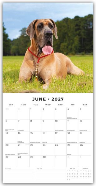 Produktbild: Great Danes &ndash; Deutsche Dogge 2027 &ndash; 16-Monatskalender