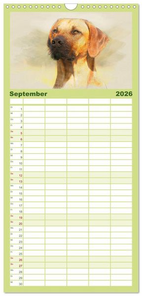 Produktbild: Familienplaner 2026 - Rhodesian Ridgeback 2026 mit 5 Spalten (Wandkalender, 21 x 45 cm) CALVENDO