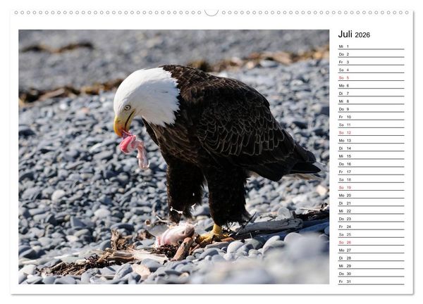 Produktbild: Alaskas Tierwelt - Paradies im Norden (Wandkalender 2026 DIN A2 quer), CALVENDO Monatskalender