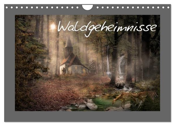 Produktbild: Waldgeheimnisse (Wandkalender 2026 DIN A4 quer), CALVENDO Monatskalender