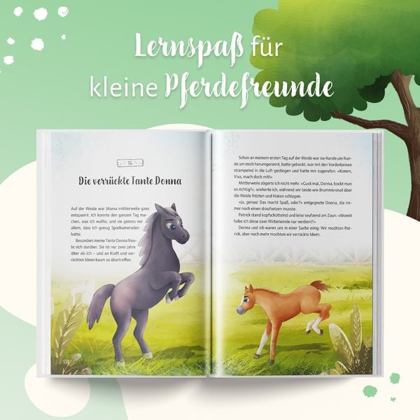 Produktbild: Vivas Tagebuch