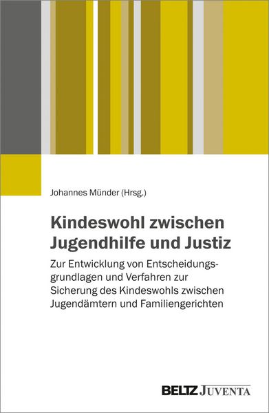 Produktbild: Kindeswohl zwischen Jugendhilfe und Justiz