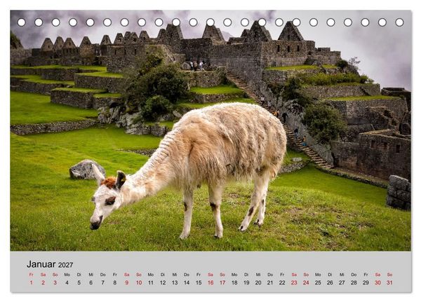Produktbild: Unter Lamas und Alpakas (Tischkalender 2027 DIN A5 quer), CALVENDO Monatskalender