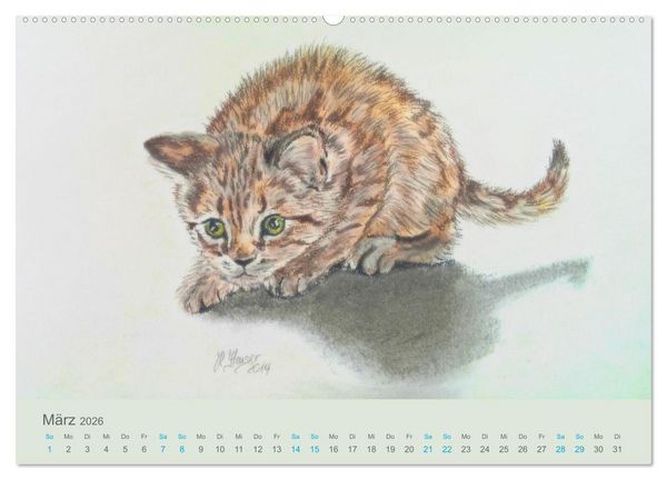 Produktbild: KATZEN PortraiTierART (Wandkalender 2026 DIN A2 quer), CALVENDO Monatskalender