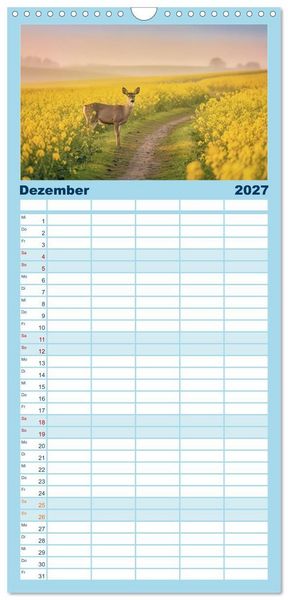Produktbild: Familienplaner 2027 - Zwischen den Feldern mit 5 Spalten (Wandkalender, 21 x 45 cm) CALVENDO
