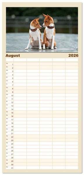 Produktbild: Familienplaner 2026 - Der Basenji mit 5 Spalten (Wandkalender, 21 x 45 cm) CALVENDO