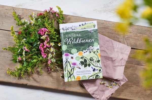 Produktbild: Unsere Wildbienen