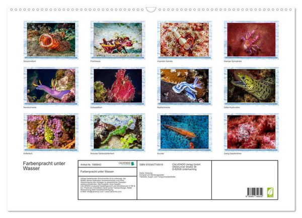 Produktbild: Farbenpracht unter Wasser (Wandkalender 2026 DIN A2 quer), CALVENDO Monatskalender