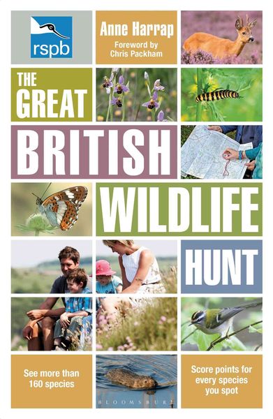 Produktbild: Rspb the Great British Wildlife Hunt