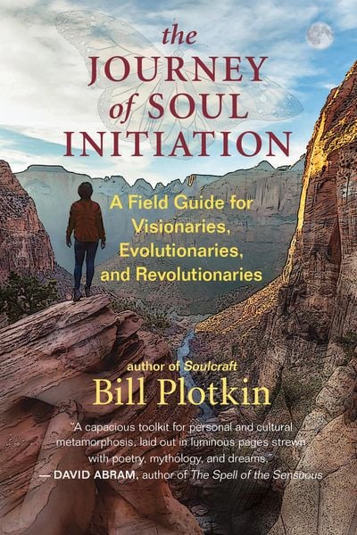 Produktbild: The Journey of Soul Initiation