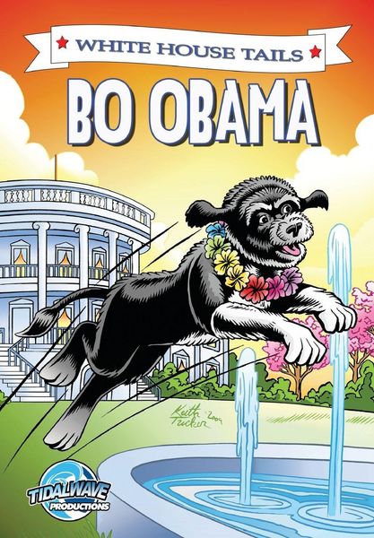 Produktbild: Bo Obama