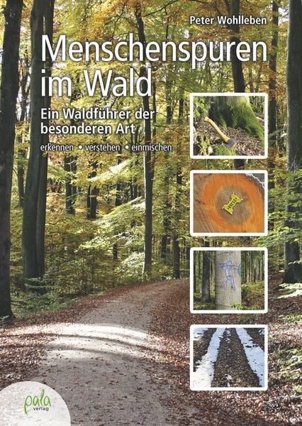 Produktbild: Menschenspuren im Wald
