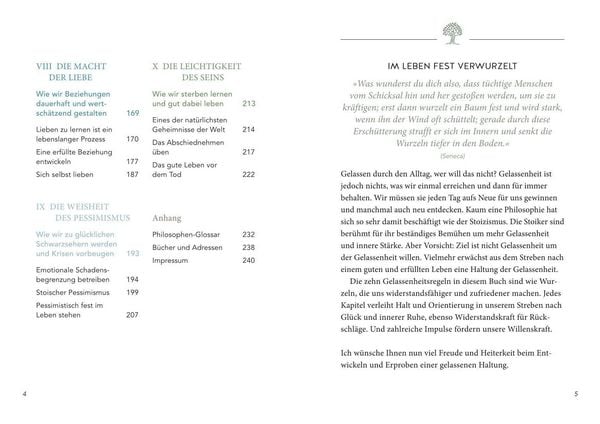 Produktbild: Der kleine Alltagsstoiker
