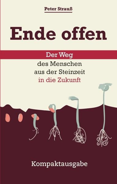 Ende offen – Der Weg des Menschen aus der Steinzeit in die Zukunft, Taschenbuch von Peter Strauss, Tredition, 9783347409835