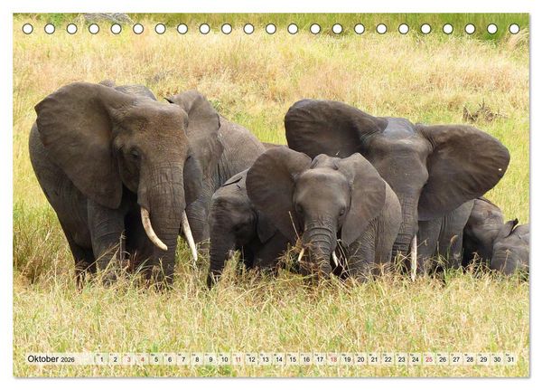 Produktbild: Tansania. Impressionen aus Ostafrika (Tischkalender 2026 DIN A5 quer), CALVENDO Monatskalender