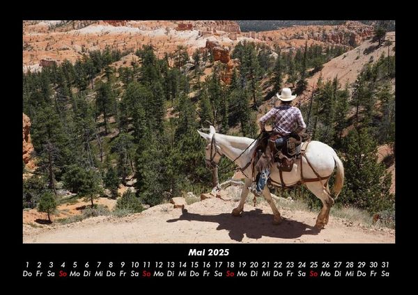 Produktbild: Pferdegefl&uuml;ster 2025 Fotokalender DIN A3
