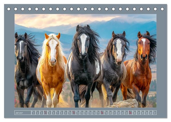 Produktbild: Mustangs. Pferde in ihrer wildesten Sch&ouml;nheit (Tischkalender 2027 DIN A5 quer), CALVENDO Monatskalender