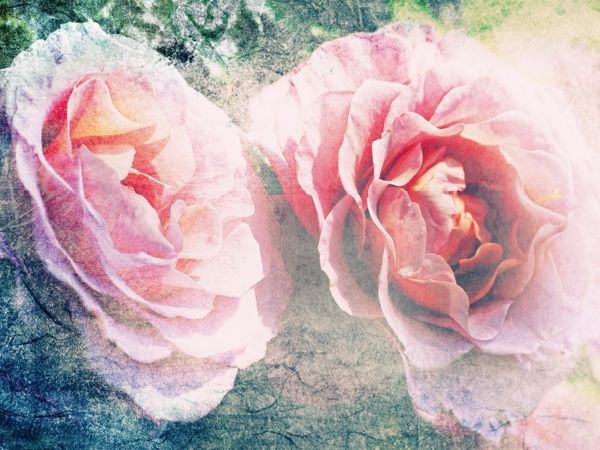 Produktbild: CALVENDO Puzzle Rosen Romantik - Sehnsucht | 1000 Teile Lege-Gr&ouml;&szlig;e 64x48cm Foto-Puzzle f&uuml;r gl&uuml;ckliche Stunden