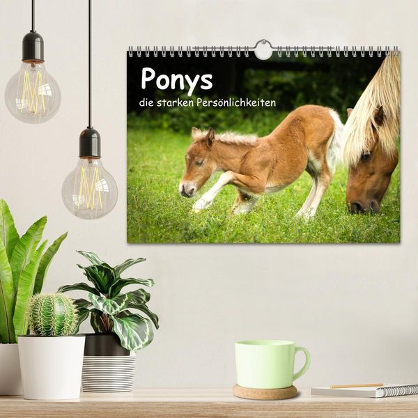Produktbild: Ponys, die starken Pers&ouml;nlichkeiten (Wandkalender 2026 DIN A4 quer), CALVENDO Monatskalender