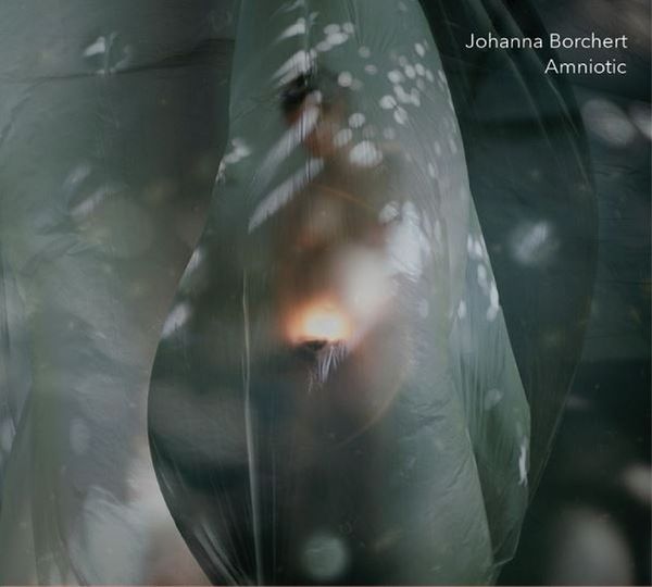 Produktbild: Borchert, J: Amniotic