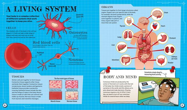 Produktbild: The Spectacular Science of the Human Body