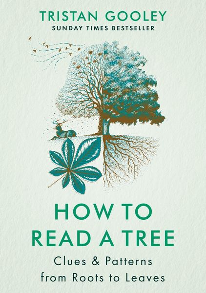 Produktbild: Gooley, T: How to Read a Tree