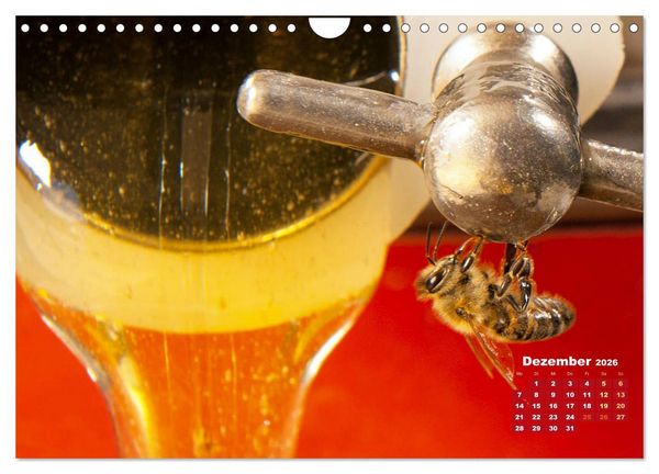 Produktbild: Ein Leben f&uuml;r den Honig - Bienen und Imker (Wandkalender 2026 DIN A4 quer), CALVENDO Monatskalender