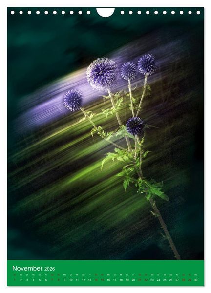 Produktbild: Floraler Tanz (Wandkalender 2026 DIN A4 hoch), CALVENDO Monatskalender