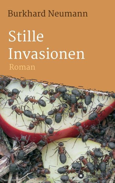 Stille Invasionen
