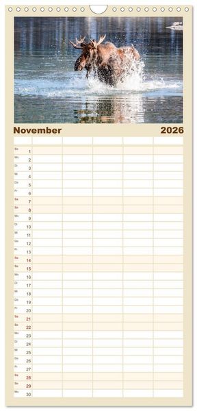 Produktbild: Familienplaner 2026 - Kanada - Abenteuer in den Nationalparks mit 5 Spalten (Wandkalender, 21 x 45 cm) CALVENDO