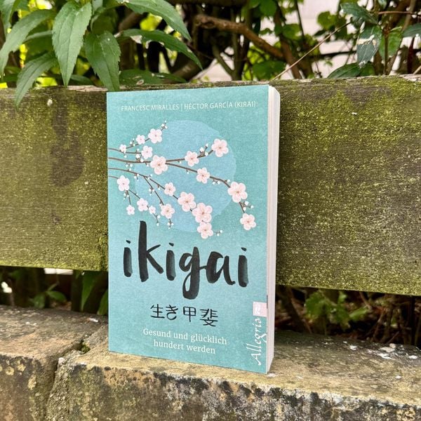 Produktbild: Ikigai