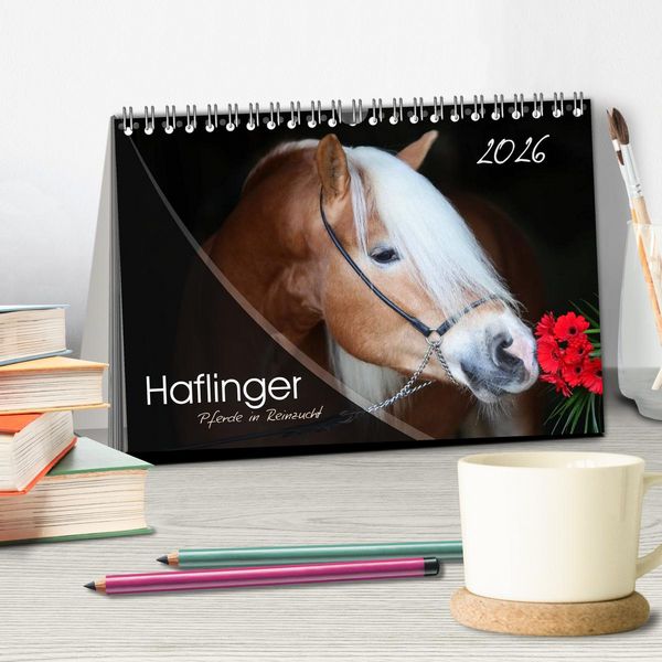 Produktbild: Haflinger-Pferde in Reinzucht (Tischkalender 2026 DIN A5 quer), CALVENDO Monatskalender
