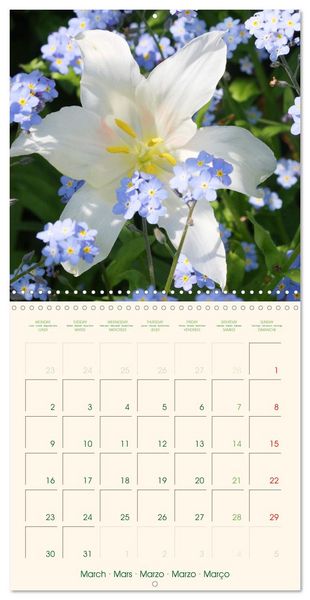 Produktbild: Tulipes charmantes et fra&icirc;ches (Calendrier mural carr&eacute; 2026 30x30 cm) Calendrier double avec une page pour vos prises de notes