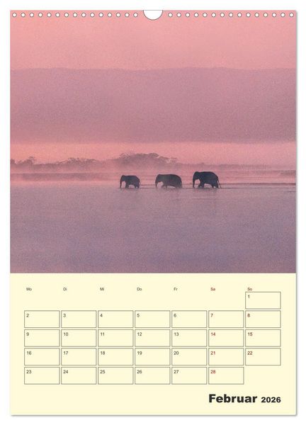 Produktbild: ELEFANTEN - Asiens graue Riesen (Wandkalender 2026 DIN A3 hoch), CALVENDO Monatskalender