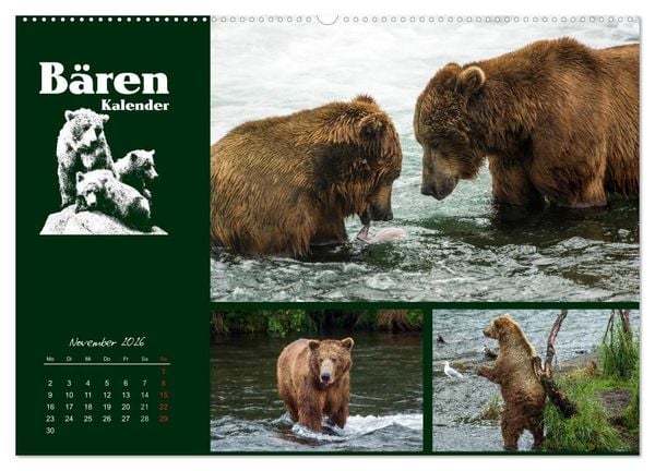Produktbild: B&auml;renkalender (hochwertiger Premium Wandkalender 2026 DIN A2 quer), Kunstdruck in Hochglanz