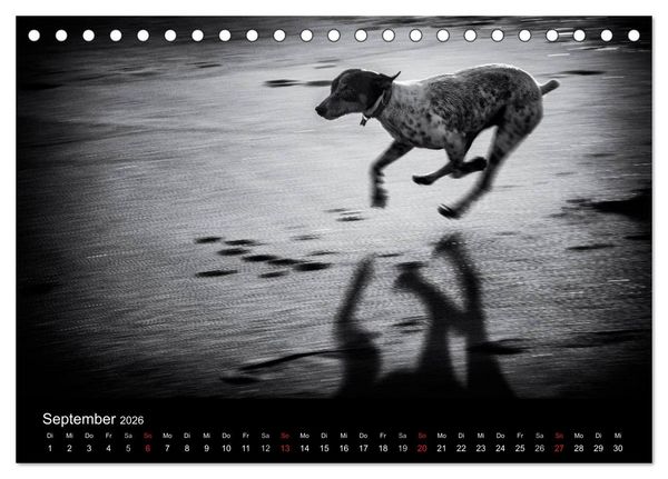 Produktbild: Das Licht in Schwarz und Wei&szlig; (Tischkalender 2026 DIN A5 quer), CALVENDO Monatskalender