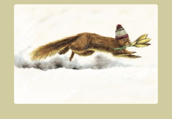 Produktbild: Auf der Suche nach dem Schneemann