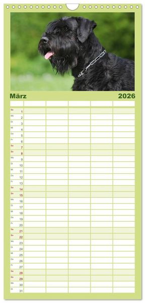 Produktbild: Familienplaner 2026 - Treuer Freund Riesenschnauzer mit 5 Spalten (Wandkalender, 21 x 45 cm) CALVENDO