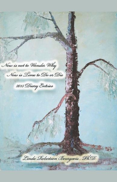 Produktbild: Now is Not to Wonder Why Now is Time to Do or Die 2015 Diary Entries