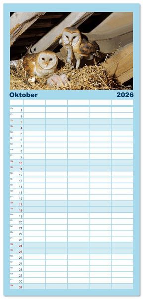 Produktbild: Familienplaner 2026 - Das Leben der Eulen, die Damen der Nacht mit 5 Spalten (Wandkalender, 21 x 45 cm) CALVENDO