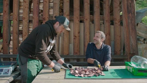Produktbild: Der Bauer und der Bobo