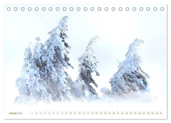 Produktbild: B&Auml;UME - wie gemalt (Tischkalender 2027 DIN A5 quer), CALVENDO Monatskalender
