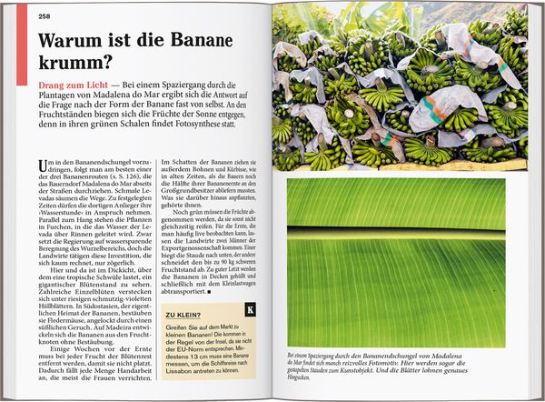 Produktbild: DUMONT Reise-Taschenbuch Reisef&uuml;hrer Madeira