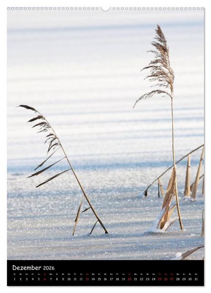 Produktbild: NATUR PUR Bl&uuml;tentr&auml;ume (Wandkalender 2026 DIN A2 hoch), CALVENDO Monatskalender