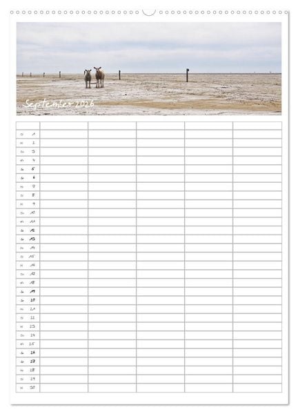 Produktbild: Nordfriesland - Familienplaner (hochwertiger Premium Wandkalender 2026 DIN A2 hoch), Kunstdruck in Hochglanz