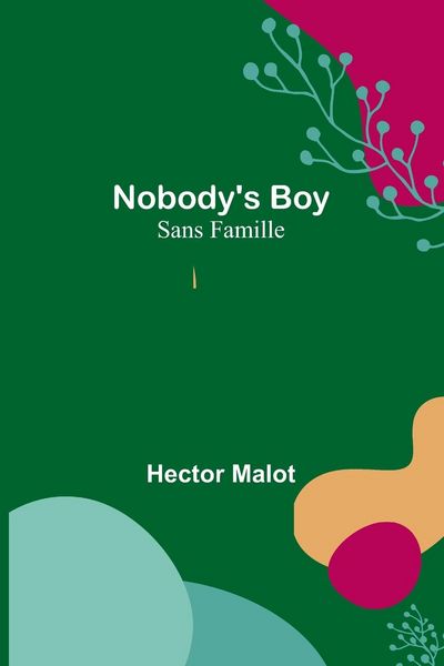 Produktbild: Nobody's Boy ; Sans Famille